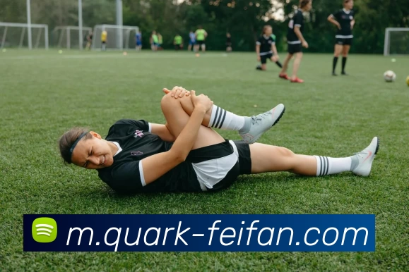 非凡娱乐平台生态图